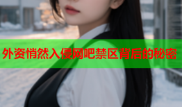 外资悄然入侵网吧禁区背后的秘密