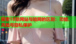 探索18禁网站与暗网的区别：功能、风险与隐私保护