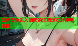 如何安全进入暗网的洋葱浏览器使用指南