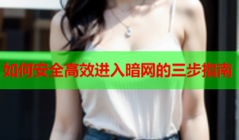 如何安全高效进入暗网的三步指南
