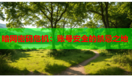 暗网密码危机：账号安全的禁忌之地