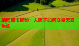 暗网黑市揭秘：人贩子如何交易无辜生命