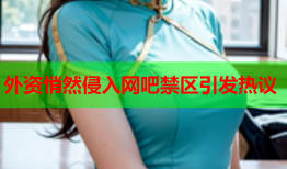 外资悄然侵入网吧禁区引发热议