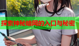 探索神秘暗网的入口与秘密
