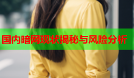 国内暗网现状揭秘与风险分析