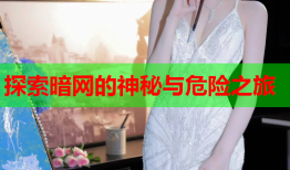 探索暗网的神秘与危险之旅