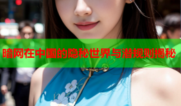 暗网在中国的隐秘世界与潜规则揭秘