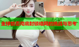 全球能否彻底封锁暗网的挑战与思考