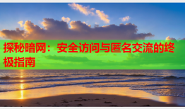 探秘暗网：安全访问与匿名交流的终极指南