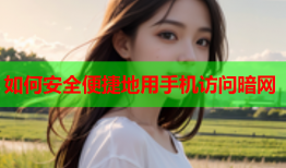 如何安全便捷地用手机访问暗网