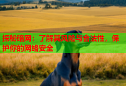 探秘暗网：了解其风险与合法性，保护你的网络安全