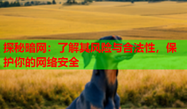 探秘暗网：了解其风险与合法性，保护你的网络安全