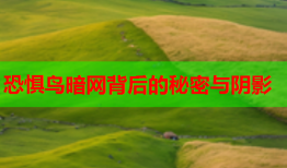 恐惧鸟暗网背后的秘密与阴影