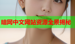 暗网中文网站资源全景揭秘
