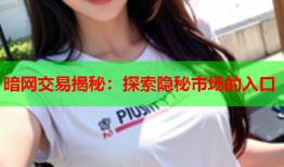 暗网交易揭秘：探索隐秘市场的入口
