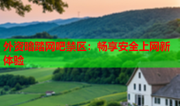 外资暗踏网吧禁区：畅享安全上网新体验