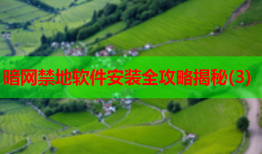 暗网禁地软件安装全攻略揭秘(3)