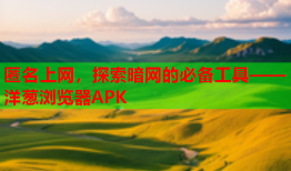 匿名上网，探索暗网的必备工具——洋葱浏览器APK