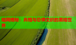 暗网揭秘：真相与恐惧交织的黑暗世界