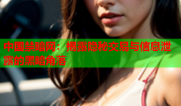中国禁暗网：揭露隐秘交易与信息泄露的黑暗角落