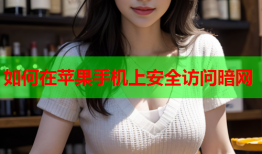 如何在苹果手机上安全访问暗网