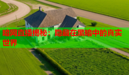 暗网直播揭秘：隐藏在黑暗中的真实世界