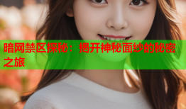 暗网禁区探秘：揭开神秘面纱的秘密之旅