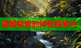 暗网禁地的神秘探索与