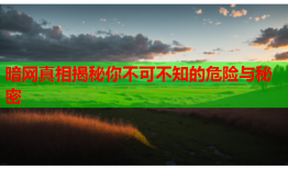 暗网真相揭秘你不可不知的危险与秘密