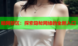 暗网禁区：探索隐秘网络的全新入口