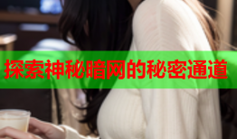 探索神秘暗网的秘密通道