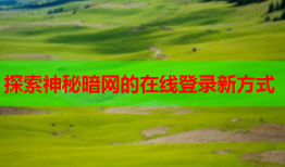 探索神秘暗网的在线登录新方式