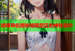 蝴蝶导航揭秘暗网禁区的神秘面纱