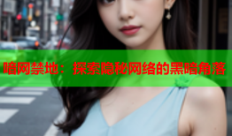 喑网禁地：探索隐秘网络的黑暗角落