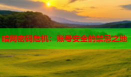 暗网密码危机：账号安全的禁忌之地