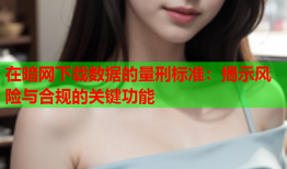 在暗网下载数据的量刑标准：揭示风险与合规的关键功能