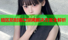 暗区防封端口禁网解决方案全解析
