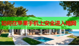 如何在苹果手机上安全进入暗网