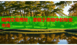 暗网交易揭秘：潜藏于黑暗中的秘密市场