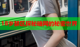 18岁禁区探秘暗网的秘密世界