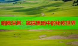 暗网深渊：窥探黑暗中的秘密世界
