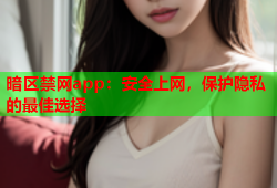 暗区禁网app：安全上网，保护隐私的最佳选择