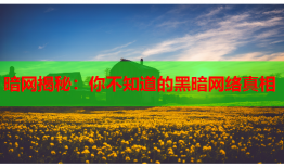 暗网揭秘：你不知道的黑暗网络真相