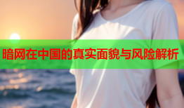 暗网在中国的真实面貌与风险解析