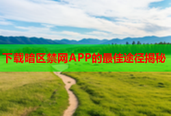 下载暗区禁网APP的最佳途径揭秘