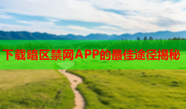下载暗区禁网APP的最佳途径揭秘