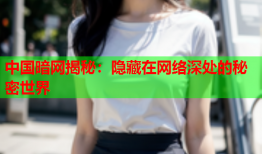 中国暗网揭秘：隐藏在网络深处的秘密世界