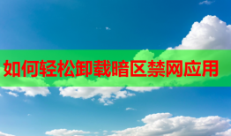 如何轻松卸载暗区禁网应用