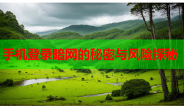 手机登录暗网的秘密与风险探秘