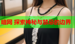 暗网 探索神秘与禁忌的边界